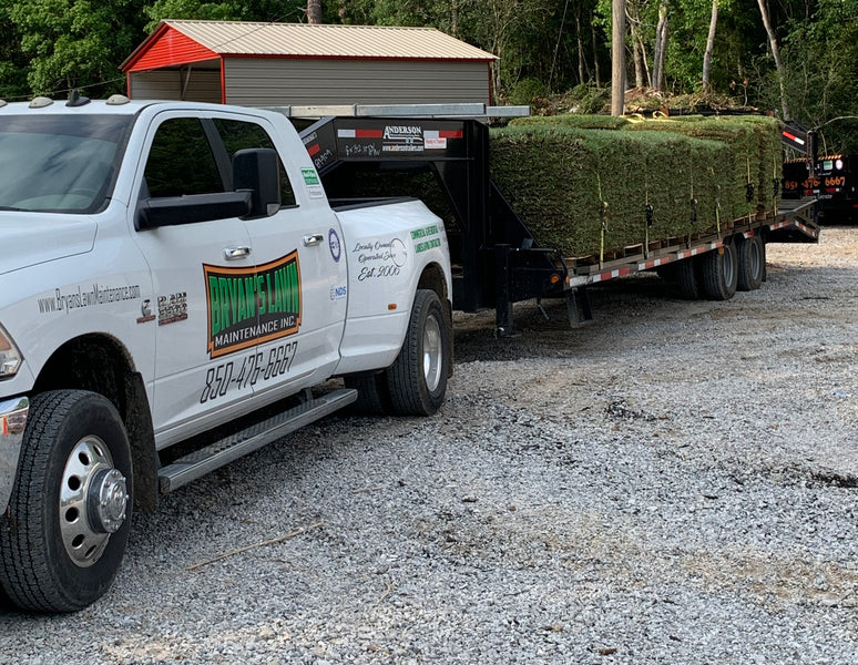 Buy sod grass by the roll or pallet